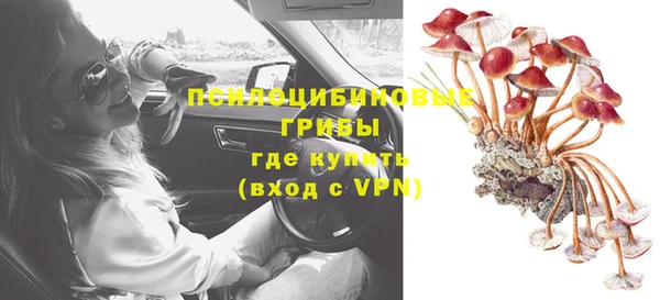 круглые Алзамай